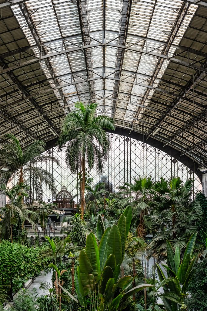 Atocha's indoor tropical garden